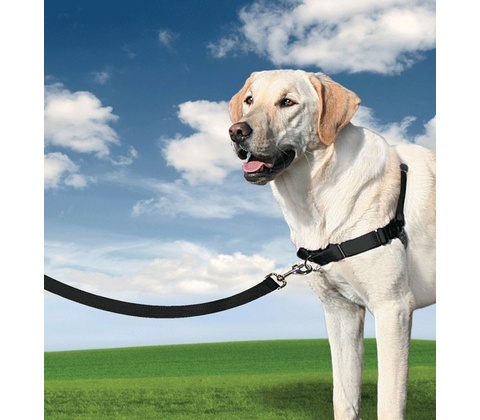 PetSafe Easy Walk Harness