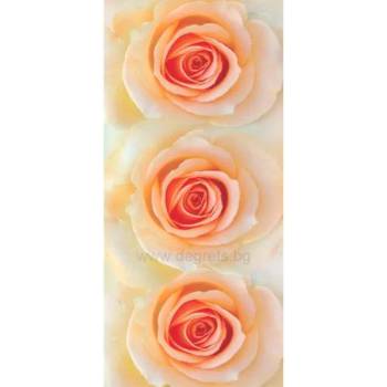 Image 1 of Фототапет Рози