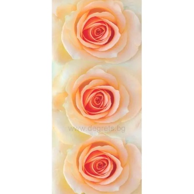 Фототапет Рози