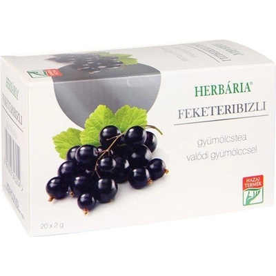 Herbária ovocný čaj z čiernych ríbezlí 20 x 2 g