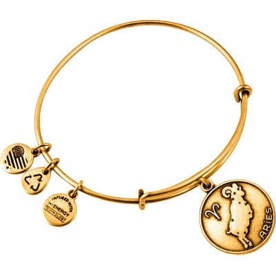 ALEX AND ANI Dámsky Náramok A13EB01ARRG