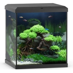 JUWEL Аквариум JUWEL VIO Cube 54 - черен (8044)