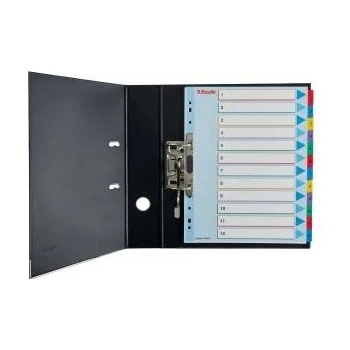 Esselte Binder holders for A4 Mylar with descriptive page 1-31 (10K200C)