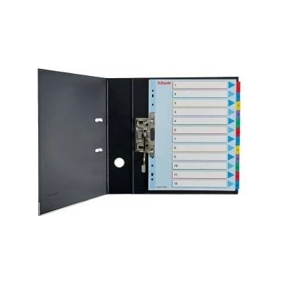 Esselte Binder holders for A4 Mylar with descriptive page 1-31 (10K200C)