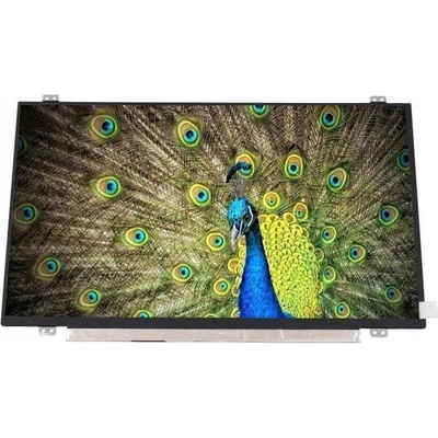 LCD MAT FHD IPS LENOVO THINKPAD T450 T450s