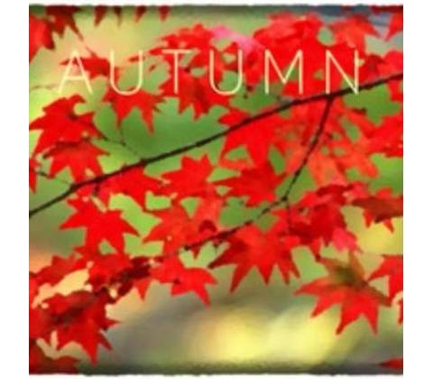 Autumn