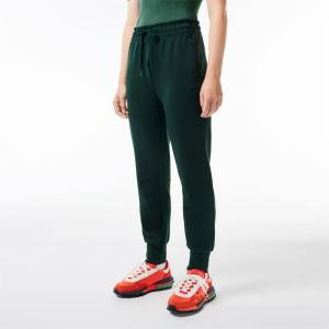 Lacoste Анцуг Lacoste Cotton Sweatpants - Green