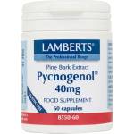 LAMBERTS ЛАМБЕРТС ПИКНОГЕНОЛ 40 МГ. 60 КАПС. / lamberts pycnogenol 40mg 60caps