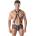 Anais Axel Harness III Black S/M