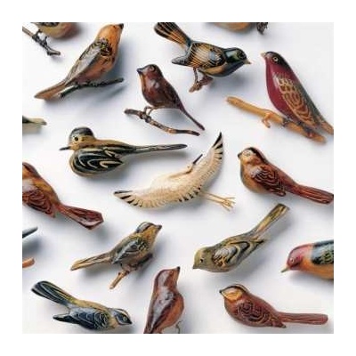 Kishi Bashi - Omoiyari CLR LP