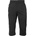 Willard LAURUS XL