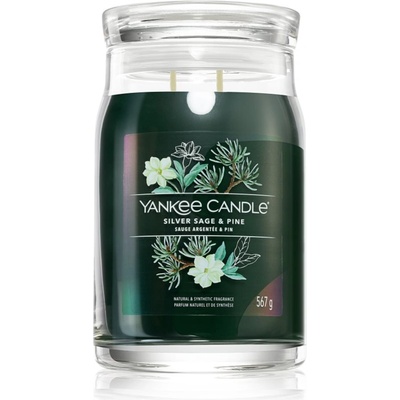 Yankee Candle Silver Sage & Pine ароматна свещ Signature 567 гр