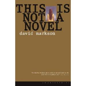 This is Not a Novel (ISBN: 9781582431338)