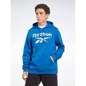 Reebok Суитшърт RI FLC Big Logo Hood