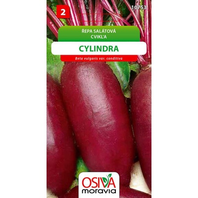 Řepa salátová Cylindra 4 g