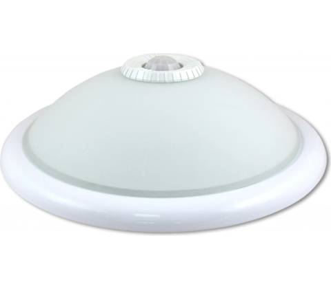 LVT PL4982