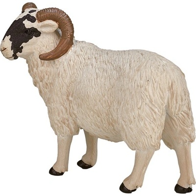 Animal Planet Baran Hampshire
