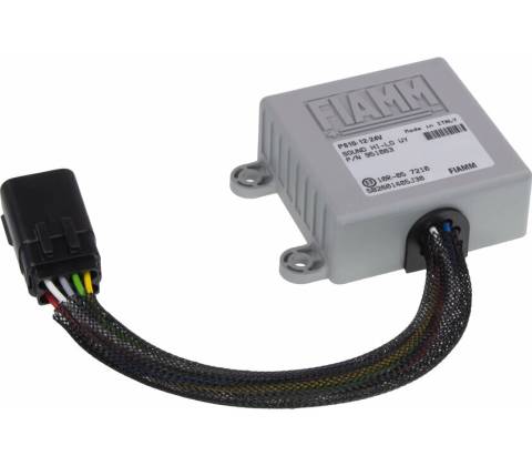 FIAMM 951063