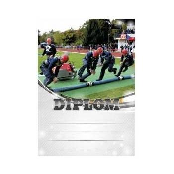 Diplom 6675