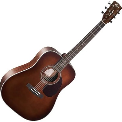 Cort Earth 70 BR