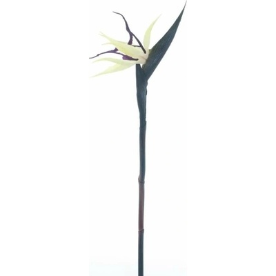 Strelície „RT Cathy“ krémovo-fialová 58 cm