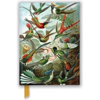 Flame Tree Publishing Ernst Haeckel: Hummingbirds (Foiled Journal) | Flame Tree Studio