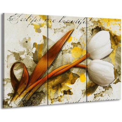 Tulipány plátno 3 90x60