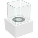 Image 1 of Kratki TANGO2/BIALY/TUV