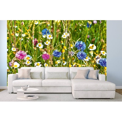 DIMEX ART Самозалепваща се флизелинова фототапета диво поле с цветя 375 x 250 см