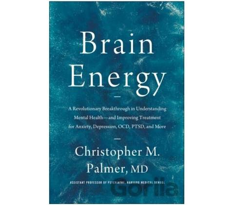 Brain Energy
