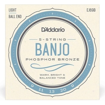 D'Addario EJ69B