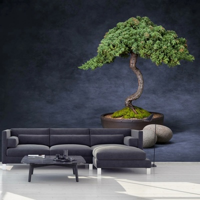 Fototapeta - Bonsai, vliesová, 392x272 cm