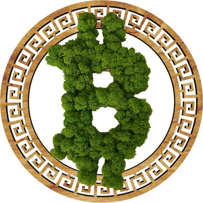 MACHOVÝ DREVENÝ BITCOIN OBRAZ - 40cm, Oak