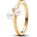 Pandora 163156C01