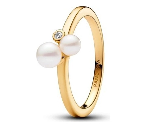 Pandora 163156C01