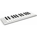 ESI Xkey 25