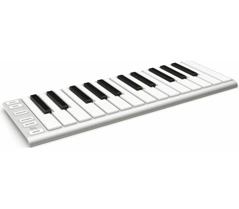 ESI Xkey 25