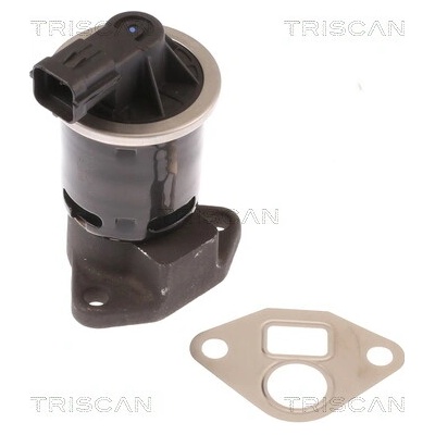 AGR - Ventil TRISCAN 8813 21004