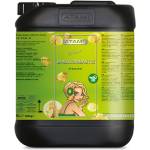 ATAMI ATA NRG Bio Bloombastic 5L