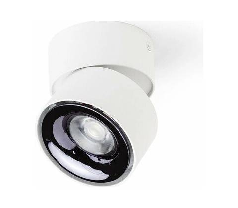 RENDL R14425