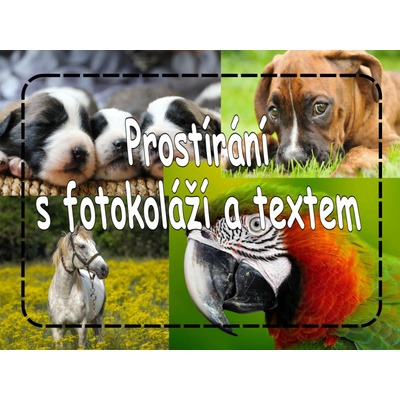PokojovaDekorace.cz Prostírání s fotokoláží a textem 43x30cm