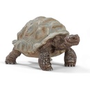 Schleich želva obrovská