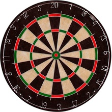 BRISTLE DARTBOARD