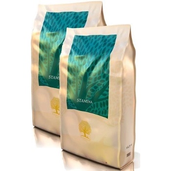 Essential Stamina 2 x 10 kg