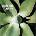 Depeche Mode - Exciter (2 CD) (0888837708425)