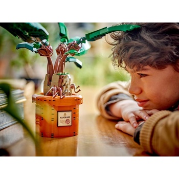 Image 1 of LEGO® Harry Potter™ - Mandrake (76433)