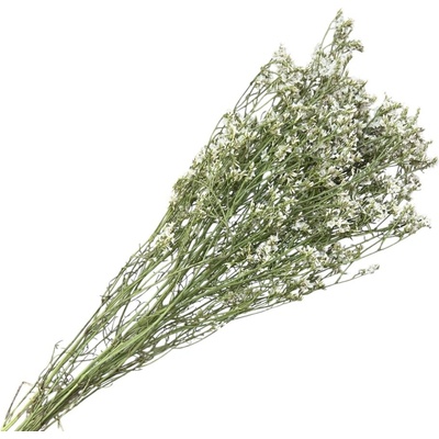 Sušené kvety Limonium Sinensis 30g Limonka - prírodná biela