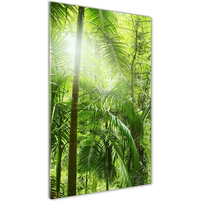 Vertikálny foto obraz sklenený Dažďový prales 50x100 cm