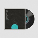 Wilson Steven Overview LP