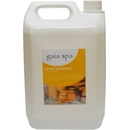 Gaia Spa Esencia do sauny Zimné koreniny 5 l